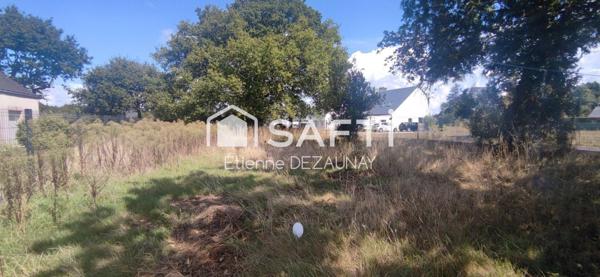 Terrain viabilisé et libre de constructeur