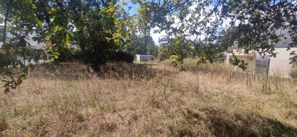 Terrain viabilisé et libre de constructeur