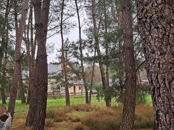 Longue Jumelles - Maison rénovée 125.01m²