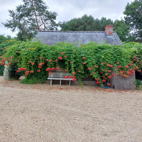 Longue Jumelles - Maison rénovée 125.01m²