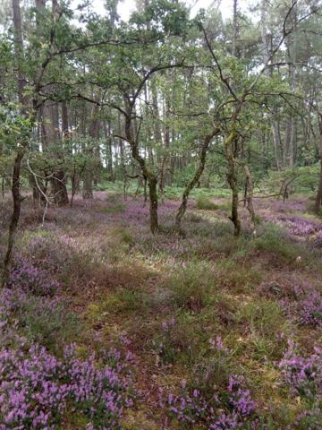 Longue Jumelles - Maison rénovée 125.01m²