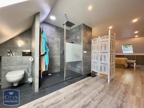 Vente maison Saintry-sur-Seine (91250) 13 pièces 360m²