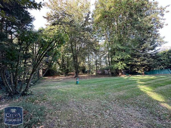 Vente maison Saintry-sur-Seine (91250) 13 pièces 360m²