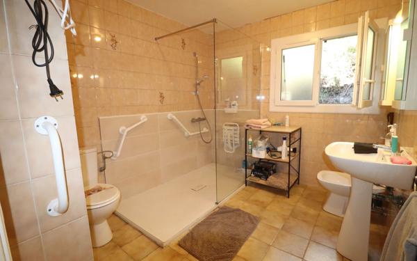 Maison à vendre    3 pièces •  Blausasc