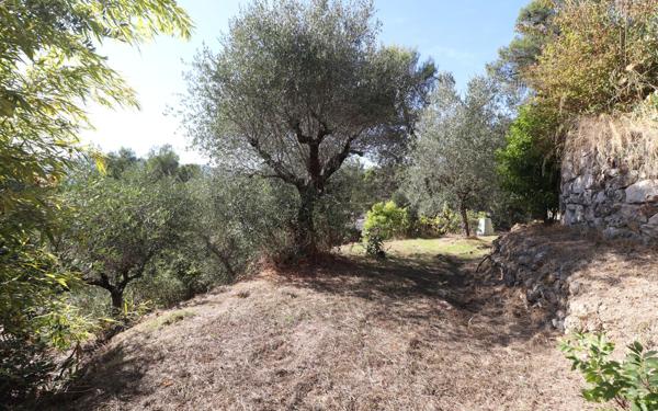 Maison à vendre    3 pièces •  Blausasc