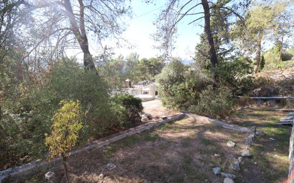 Maison à vendre    3 pièces •  Blausasc