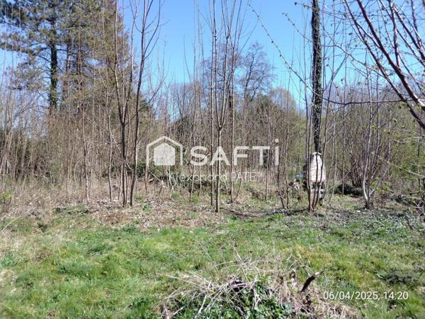 Terrain rare : nature, calme et pure détente