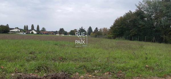 86540 THURE Terrain Thure 2784 m2