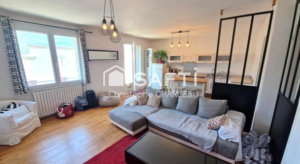 Grand Appartement T2 de 50m2 en centre ville de Grenoble