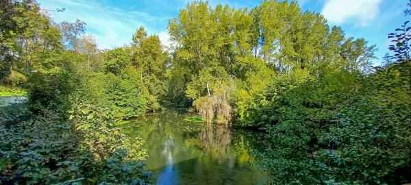 Vente Maison de luxe Mussidan 17 Pièces 455 m²