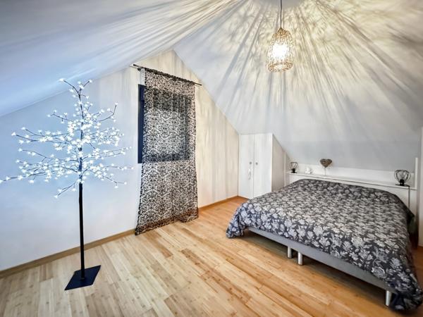 Proximité Angers centre : Magnifique maison contemporaine d'architecte de haut standing avec vie de plain-pied, jardin, chalet, garage