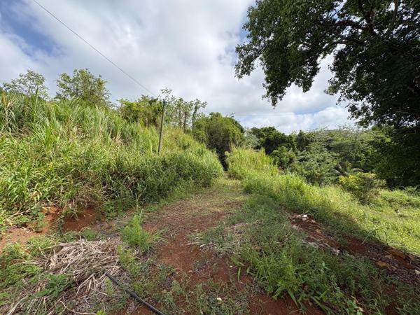 LE FRANCOIS : TERRAIN DE 1083 M² Ecrin de verdure