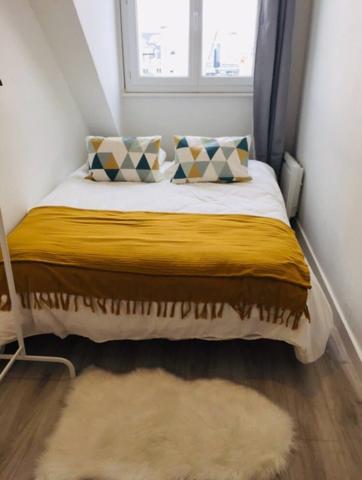 Rennes (35000) Bel appartement de type 1bis meublé avec chambre séparée