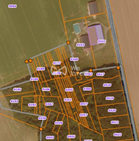 GERMIGNY L'EVEQUE : A VENDRE 5 parcelles BOISEES,   NON CONSTRUCTIBLES