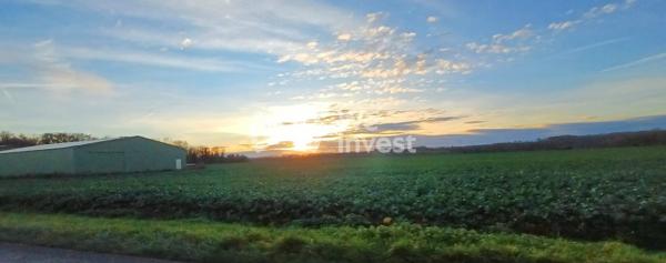 GERMIGNY L'EVEQUE : A VENDRE 5 parcelles BOISEES,   NON CONSTRUCTIBLES