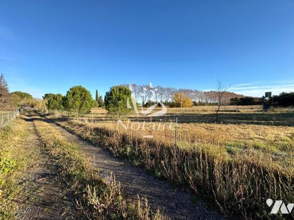 Maison avec terrain de 19 673 m²