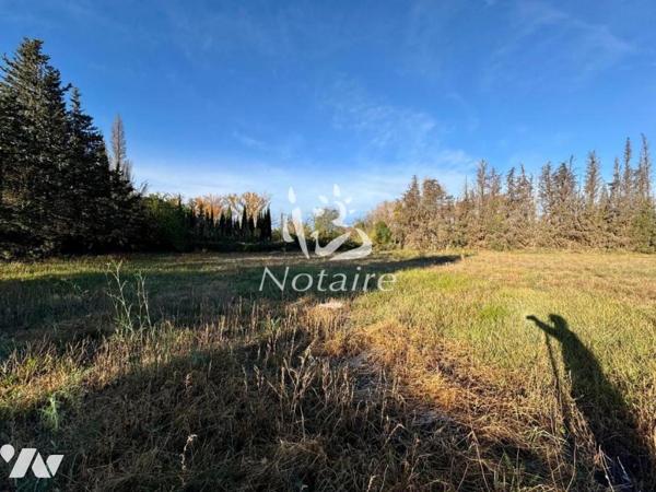 Maison avec terrain de 19 673 m²