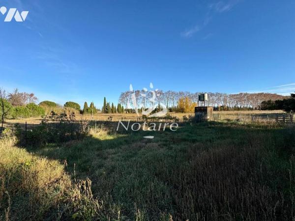 Maison avec terrain de 19 673 m²