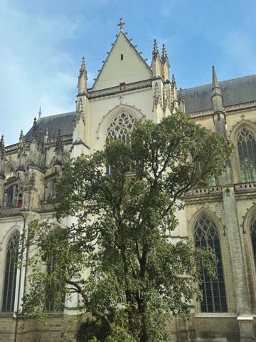 Nantes Cathédrale, emplacement exceptionnel pour ce magnifique T5 aux très beaux volumes, 2ème étage avec ascenseur et pièce de vie exposée sud. Charme de l'ancien, superbe hauteur sous plafond et cheminées..