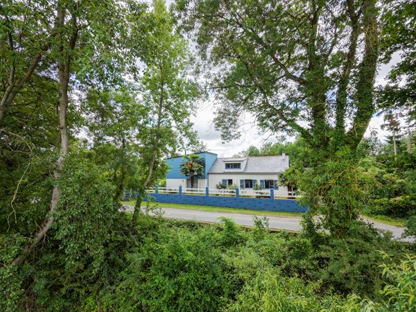 Maison à vendre 10 min Angers Sud surplombant la Loire, avec 5 chambres et vaste parc arboré - Hangar de plus de 100m² - 15 min Gare d'Angers
