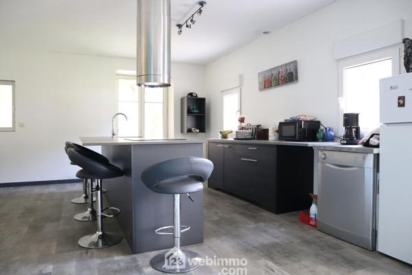Maison 390 m² à Lussac-les-Châteaux 86320