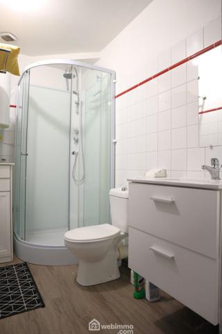 Maison 390 m² à Lussac-les-Châteaux 86320