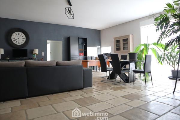 Maison 390 m² à Lussac-les-Châteaux 86320