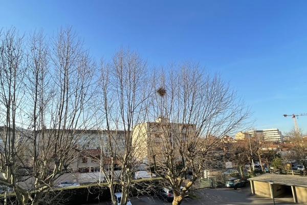 Appartement 3 pièces - 68 m² Exclusivité efficity