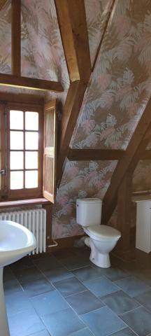 Immobilier Montoire-sur-le-Loir (41800) – Manoir 154m2 – 523 000 €