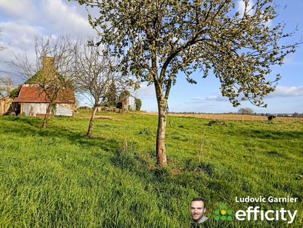 Maison 2 pièces - 55 m² Exclusivité