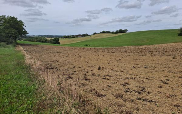 Terrain à vendre