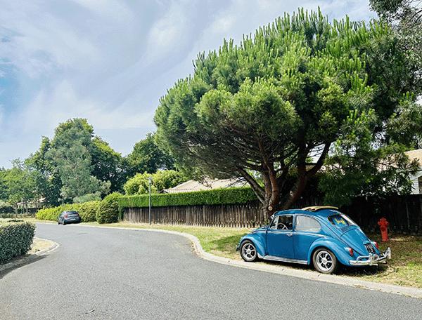 Lège Cap Ferret belle villa 107 m2