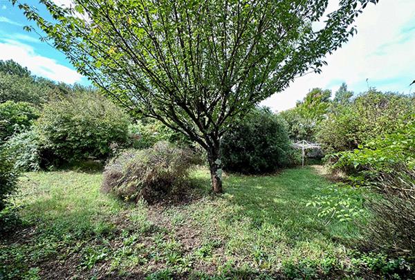 Lège Cap Ferret belle villa 107 m2