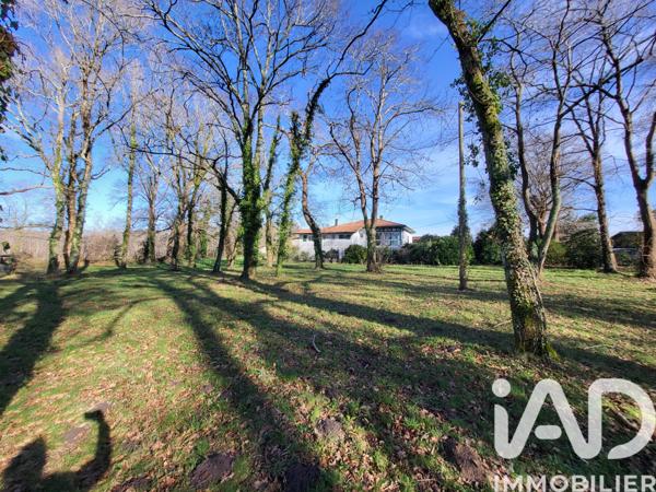 Maison à vendre 12 pièces 260 m² Saubrigues