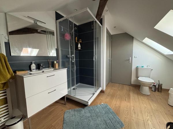 Ensemble immobilier, 1 maison individuelle, 3 appartements, un atelier.