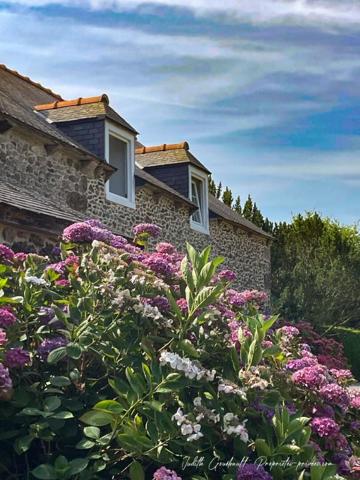Maison de maître Pleguien  290m2 sur 7200 m2 de terrain