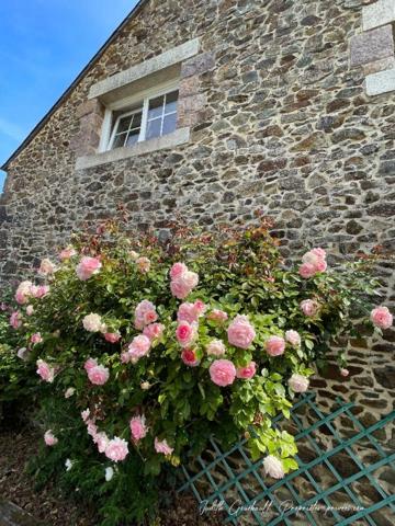 Maison de maître Pleguien  290m2 sur 7200 m2 de terrain