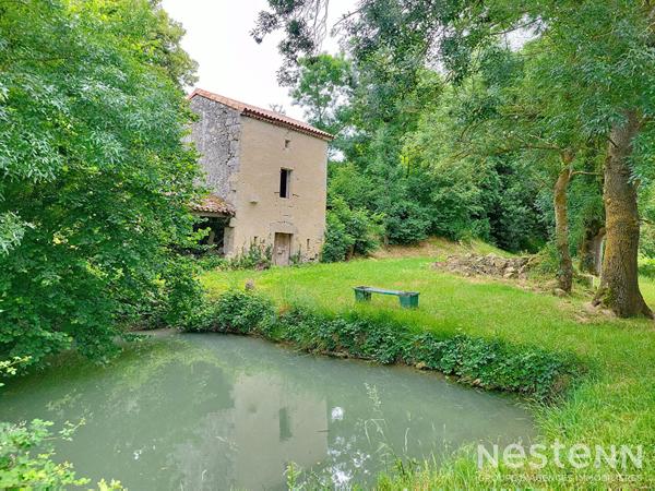 A Vendre Maison de caractère de 205 m² avec piscine, parc, dépendances et point d'eau naturel