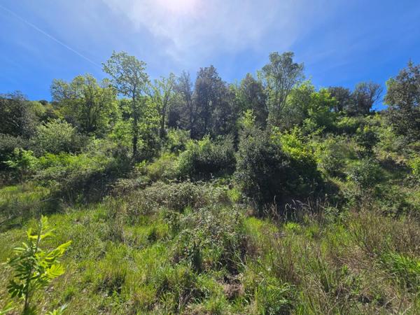 Terrain constructible 1 792 m² – Permis accordé – Viabilisé – QUINTILLAN (11)