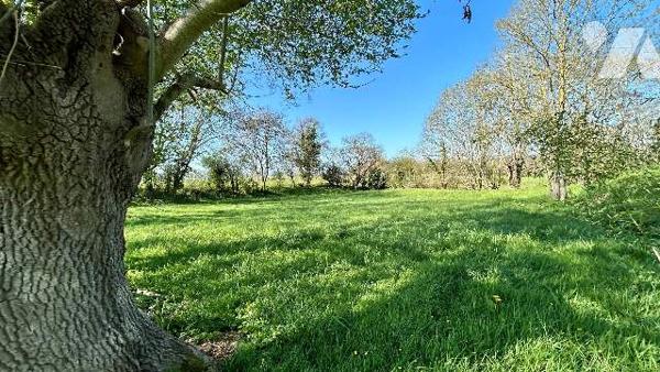 Maison de campagne sur 1ha de terrain