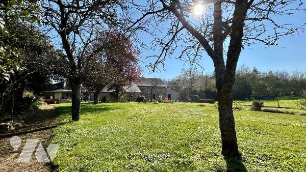 Maison de campagne sur 1ha de terrain