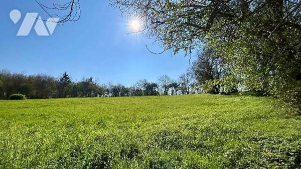 Maison de campagne sur 1ha de terrain