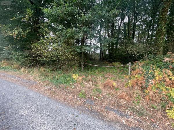 Achat - Terrain de loisirs, bois, étangs Ambrières-les-Vallées 53300 1 m 2