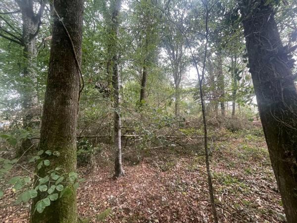 Achat - Terrain de loisirs, bois, étangs Ambrières-les-Vallées 53300 1 m 2