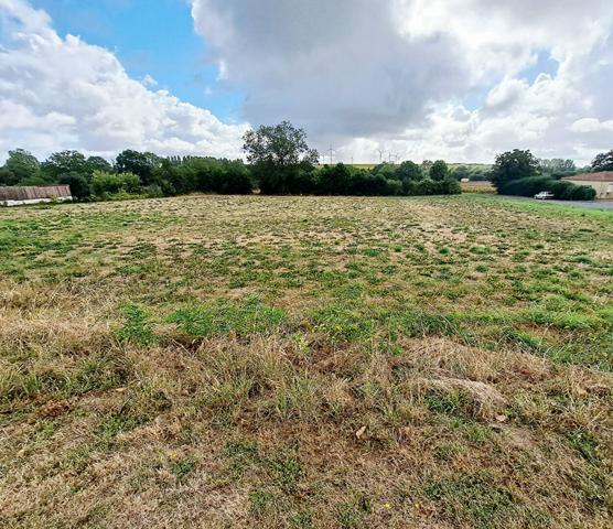 À vendre :Terrain constructible viabilisé à Xanton-Chassenon