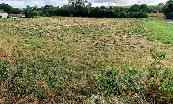 À vendre :Terrain constructible viabilisé à Xanton-Chassenon