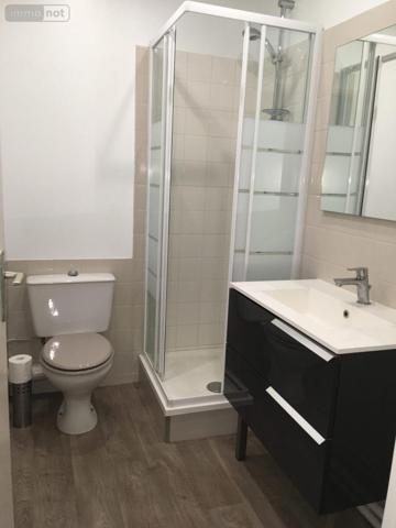 Appartement à louer à Le Mans dans la Sarthe (72000), ref : 72010-L713