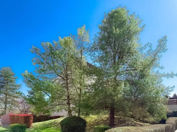 Appartement à vendre 4 pièces DEUIL LA BARRE (95)