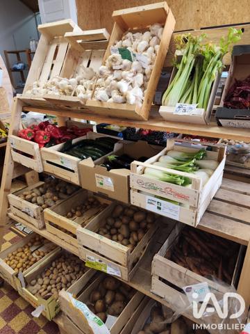 Alimentation​ à vendre 111 m² Mèze