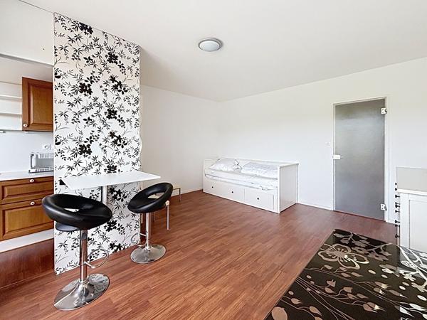 Appartement 1 pièce – 28 m² environ à Rennes (ref : 41265)